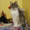 Отзыв от Вероника Лобанова